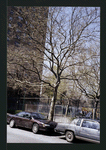 Block 229: Water Street between Gouverneur Street and Montgomery Street (west side)