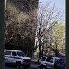 Block 229: Water Street between Gouverneur Street and Montgomery Street (west side)