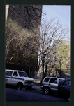 Block 229: Water Street between Gouverneur Street and Montgomery Street (west side)