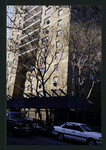 Block 229: Water Street between Gouverneur Street and Montgomery Street (west side)