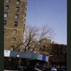 Block 229: Montgomery Street between Water Street and Madison Street (north side)