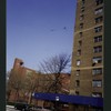 Block 229: Montgomery Street between Water Street and Madison Street (north side)