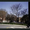 Block 229: Montgomery Street between Water Street and Madison Street (north side)