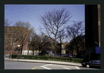Block 229: Montgomery Street between Water Street and Madison Street (north side)