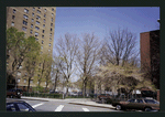 Block 229: Montgomery Street between Water Street and Madison Street (north side)