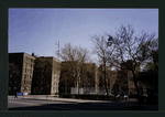 Block 229: Madison Street between Montgomery Street and Gouverneur Street (east side)