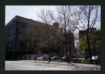 Block 229: Gouverneur Street between Madison Street and Water Street (south side)