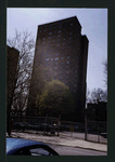Block 229: Gouverneur Street between Madison Street and Water Street (south side)