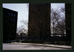 Block 229: Gouverneur Street between Madison Street and Water Street (south side)