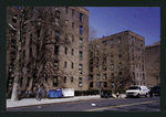 Block 230: Madison Street between Montgomery Street and Jackson Street (west side)