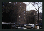 Block 230: Henry Street between Jackson Street and Montgomery Street (east side)