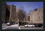 Block 231: Henry Street between Samuel Dickstein Plaza and Columbia Street (Jackson Street, west side)