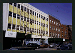 Block 231: Henry Street between Samuel Dickstein Plaza and Columbia Street (Jackson Street, west side)