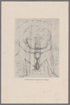 A caricature of Thackeray by himself.