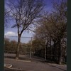 Block 234: Jackson Street between F D R Drive and Cherry Street (north side)