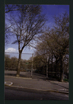 Block 234: Jackson Street between F D R Drive and Cherry Street (north side)