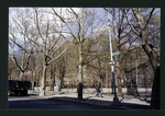 Block 234: Jackson Street between F D R Drive and Cherry Street (north side)