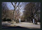 Block 234: Jackson Street between F D R Drive and Cherry Street (north side)