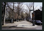 Block 234: Cherry Street between Jackson Street and F D R Drive (east side)