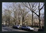 Block 234: Cherry Street between Jackson Street and F D R Drive (east side)