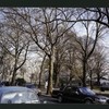 Block 234: Cherry Street between Jackson Street and F D R Drive (east side)