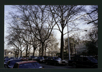 Block 234: Cherry Street between Jackson Street and F D R Drive (east side)