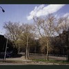 Block 234: F D R Drive between Cherry Street and Jackson Street (west side)