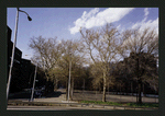 Block 234: F D R Drive between Cherry Street and Jackson Street (west side)