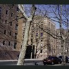 Block 235: Cherry Street between Jackson Street and F D R Drive (west side)