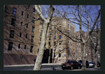 Block 235: Cherry Street between Jackson Street and F D R Drive (west side)