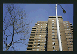 Block 237: Grand Street between F D R Drive and Lewis Street (north side)