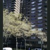 Block 237: Grand Street between F D R Drive and Lewis Street (north side)