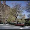 Block 237: Grand Street between F D R Drive and Lewis Street (north side)