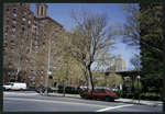 Block 237: Grand Street between F D R Drive and Lewis Street (north side)