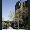 Block 237: Grand Street between F D R Drive and Lewis Street (north side)