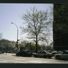 Block 237: Delancey Street South between Lewis Street and F D R Drive (south side)