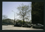 Block 237: Delancey Street South between Lewis Street and F D R Drive (south side)