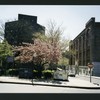 Block 238: F D R Drive between East Houston Street and Delancey Street North (west side)