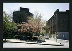 Block 238: F D R Drive between East Houston Street and Delancey Street North (west side)