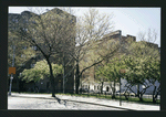 Block 238: F D R Drive between East Houston Street and Delancey Street North (west side)