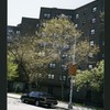 Block 238: F D R Drive between East Houston Street and Delancey Street North (west side)