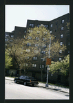 Block 238: F D R Drive between East Houston Street and Delancey Street North (west side)