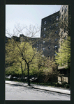 Block 238: F D R Drive between East Houston Street and Delancey Street North (west side)
