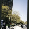 Block 238: Baruch Place between East Houston Street and Stanton Street (west side)
