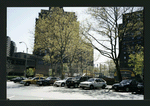 Block 240: Delancey Street between Cannon Street and Lewis Street (south side)