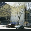 Block 240: Lewis Street between Delancey Street South and Broome Street (west side)