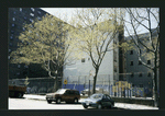 Block 240: Lewis Street between Delancey Street South and Broome Street (west side)