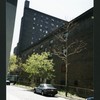 Block 241: Cannon Street between Delancey Street South and Broome Street (west side)