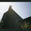 Block 241: Cannon Street between Delancey Street South and Broome Street (west side)