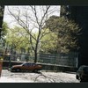 Block 241: Broome Street between Cannon Street and Lewis Street (south side)